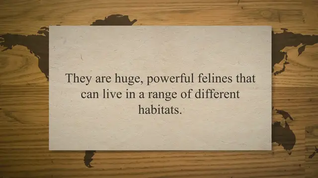 'Video thumbnail for What Do Tigers Eat In The Rainforest (Inc. Bengal Tigers)'
