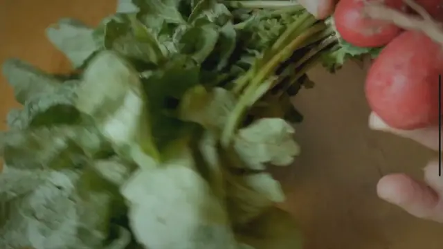 'Video thumbnail for Which Radishes Are The Spiciest? What Makes Them Spicy'