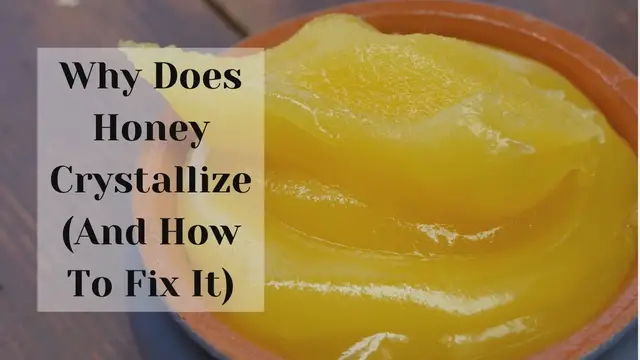 'Video thumbnail for Why Does Honey Crystallize And How To Fix it '