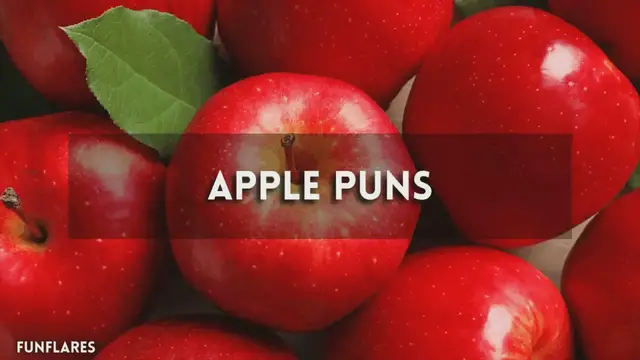 'Video thumbnail for Apple Puns | 350+ Funny Apple Puns to Make Your Day'