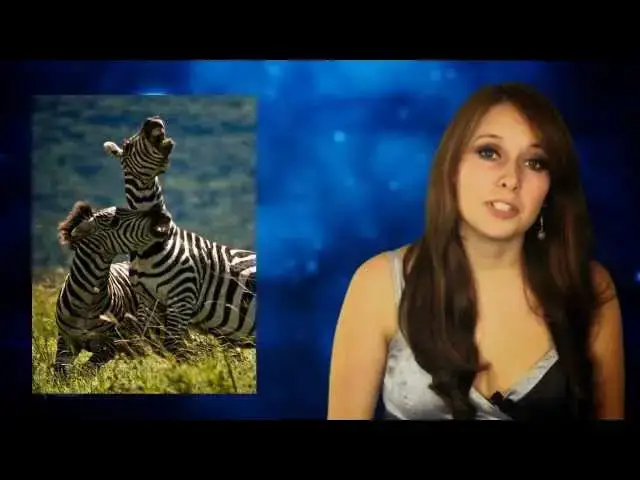 'Video thumbnail for This Ant Colony Spans Half of a CONTINENT! Where is it?'