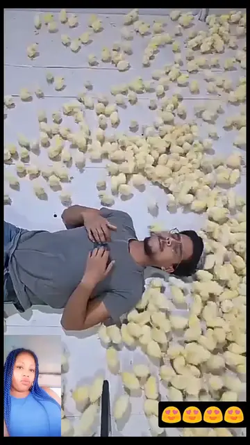 'Video thumbnail for Poultry'