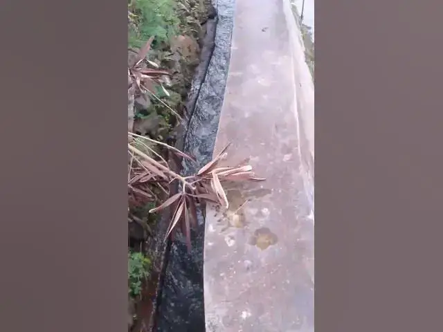 'Video thumbnail for #fishing #alam #fyp #viralvideo'