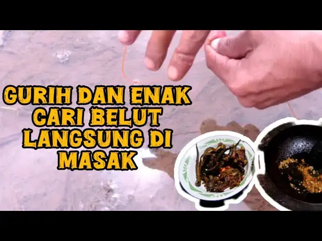 'Video thumbnail for Belut besar gurih dan enak berburu langsung di masak'