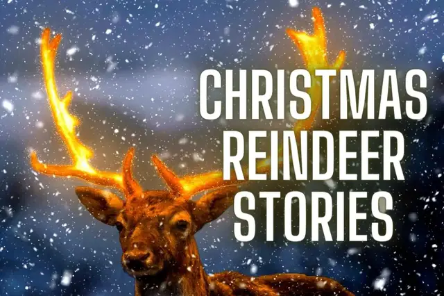 'Video thumbnail for 7 Christmas Reindeer Stories (with Rudolph the Red-Nosed Reindeer)'