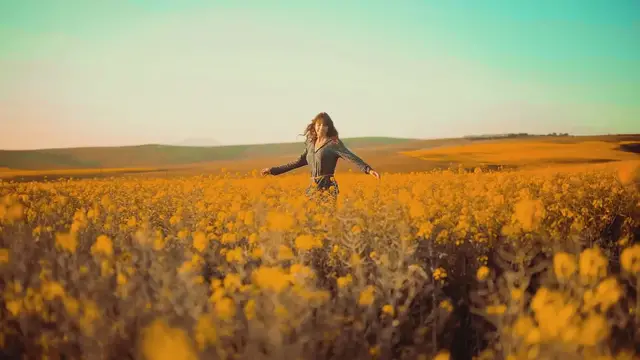 'Video thumbnail for Pleasure Walk'
