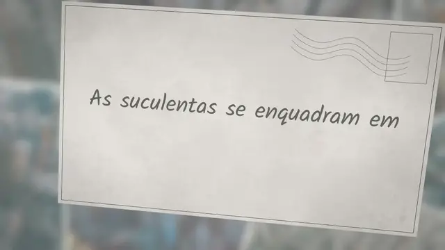 'Video thumbnail for Qual é o melhor ambiente para as suculentas?'