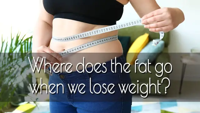 'Video thumbnail for Where does the fat go when we lose weight'