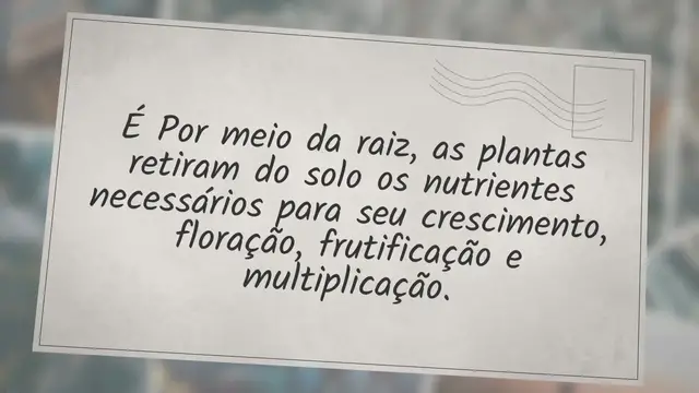 'Video thumbnail for Qual a Importância da Adubação?'