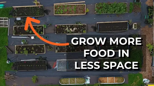'Video thumbnail for How to grow MORE food in your garden | Key ideas for self-sufficiency'