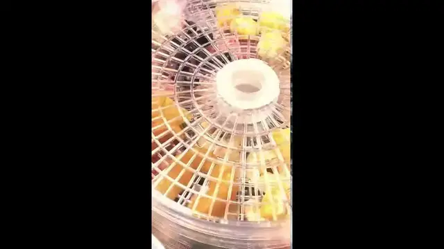 'Video thumbnail for Dehydrating Fruit 1 #shorts'