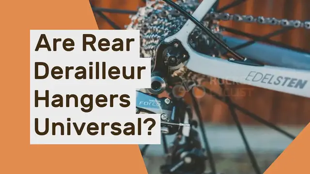 'Video thumbnail for Are rear derailleur hangers universal?'