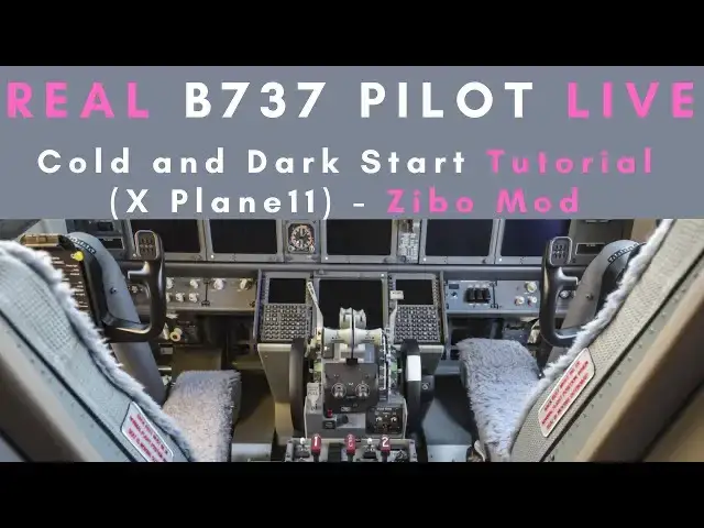 'Video thumbnail for Zibo Mod | Real B737 Pilot | Cold and Dark Start Live Tutorial'