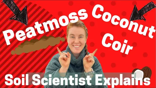 'Video thumbnail for Using Coconut Coir For Starting Seedlings. This Is Different Than Peat Moss Seed Starting! 🥬'