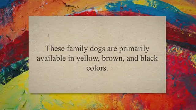 'Video thumbnail for White Labrador Retriever 101: Everything You Need To Know'