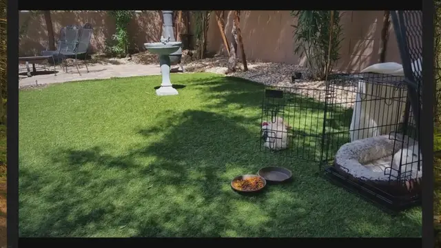 'Video thumbnail for How To Turn A Concrete Yard Into A Garden: Here's How'