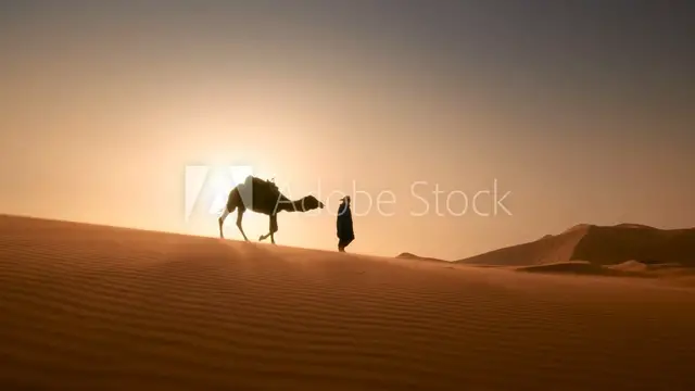 'Video thumbnail for AdobeStock_321302639_Video_HD_Preview'