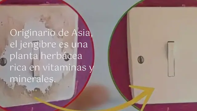 'Video thumbnail for Aquí se explica cómo cultivar jengibre en casa para tenerlo sin fin:'