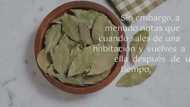 'Video thumbnail for El ingenioso truco para perfumar tu hogar de forma natural y eliminar los malos olores:'