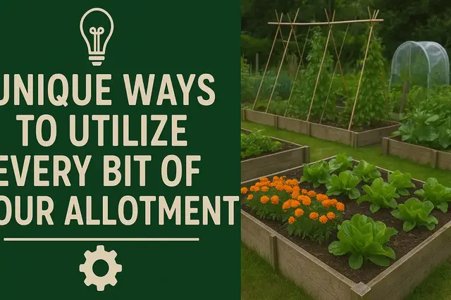 'Video thumbnail for Unique Ways to Utilize Every Bit of Your Allotment.'