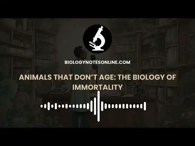 'Video thumbnail for Animals That Don’t Age: The Biology of Immortality'