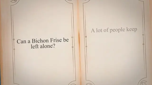 'Video thumbnail for Can a Bichon Frise be left alone?'