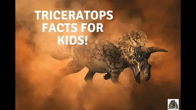 'Video thumbnail for Triceratops facts for kids'