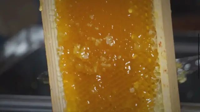 'Video thumbnail for How Much Honey Per Frame?'