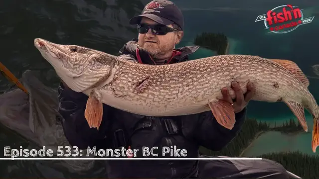 'Video thumbnail for Monster British Columbia Pike'