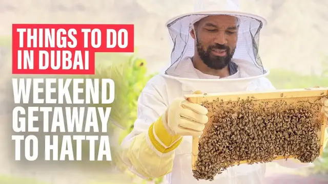 'Video thumbnail for Exploring Hatta Dam & Learning Beekeeping in Dubai'