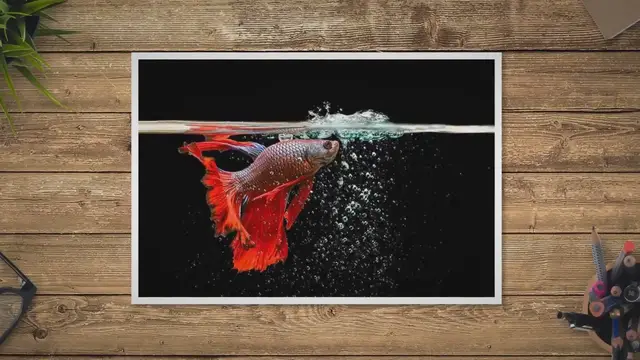'Video thumbnail for How Often To Change Betta Water'