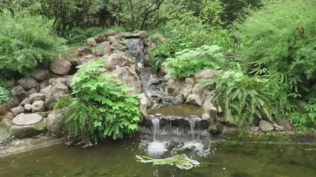 'Video thumbnail for fish pond waterfall videos'