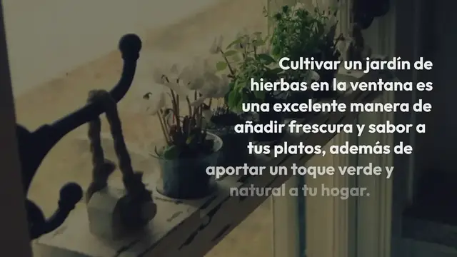 'Video thumbnail for Cómo cultivar un jardín de hierbas en tu ventana: Guía paso a paso para principiantes'