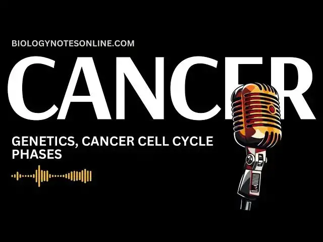 'Video thumbnail for Episode 2: Genetics, Cancer Cell Cycle Phases'