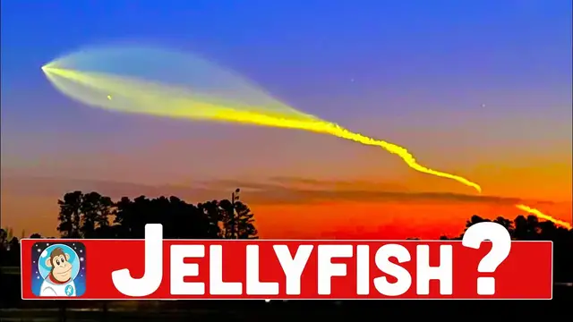 'Video thumbnail for The SHOCKING Reason Why Rockets Create Jellyfish Patterns'