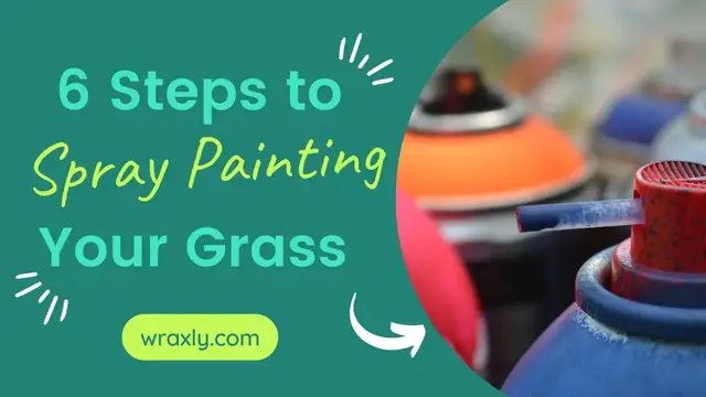 'Video thumbnail for 6 Steps to Spray Painting Your Grass'