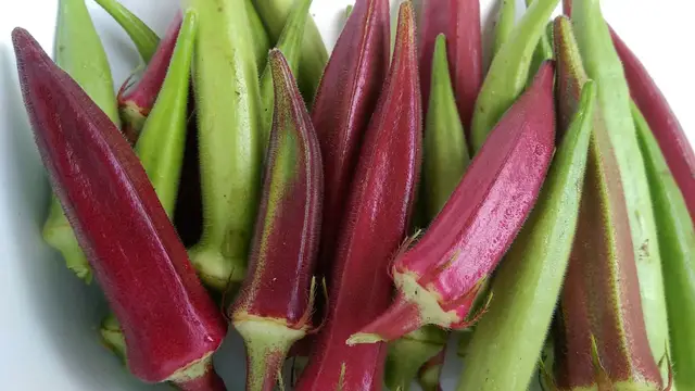 'Video thumbnail for Is Okra A Fruit Or Vegetable?'