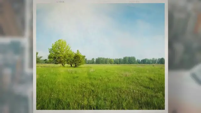 'Video thumbnail for Grassland Facts for Kids - KonnectHQ'