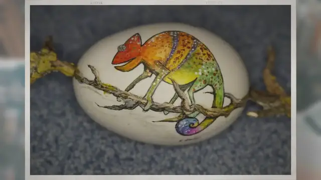 'Video thumbnail for Do Chameleons Lay Eggs? Mostly.'