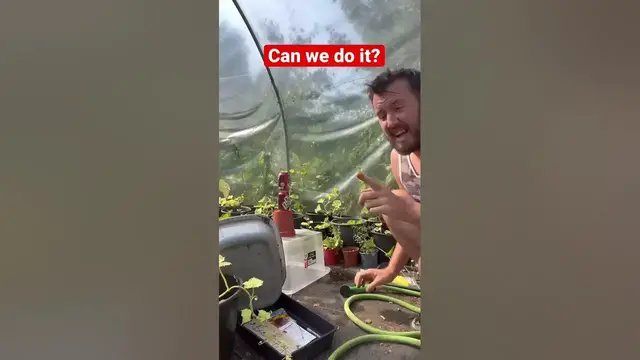 'Video thumbnail for Gardening Magic Trick Revealed | Allotment Hack #Shorts'