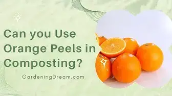 'Video thumbnail for Can you Use Orange Peels in Composting?'