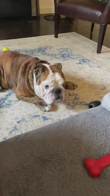 'Video thumbnail for Ollie Playing Around'