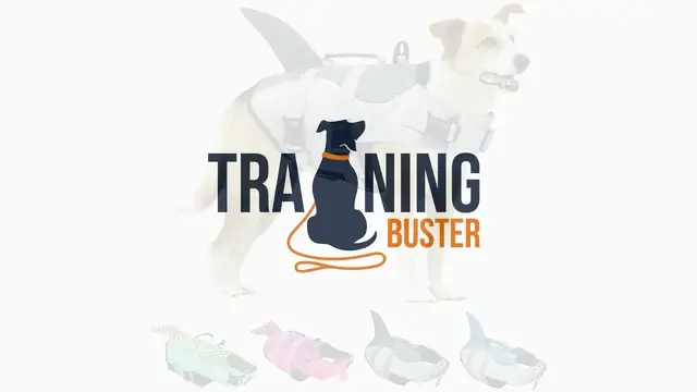 'Video thumbnail for Best Life Vests For a Small Dogs'