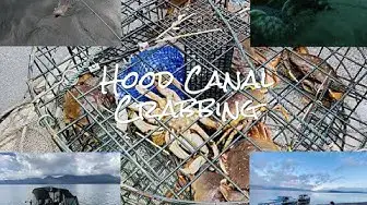 'Video thumbnail for Hood Canal Crab and Flounder 2020'