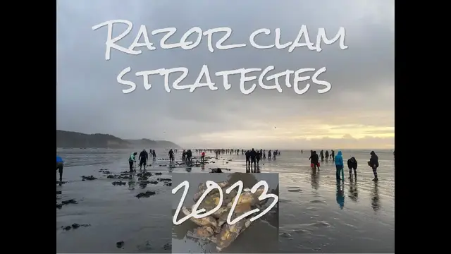 'Video thumbnail for How to dig Razor Clams in tough conditions'