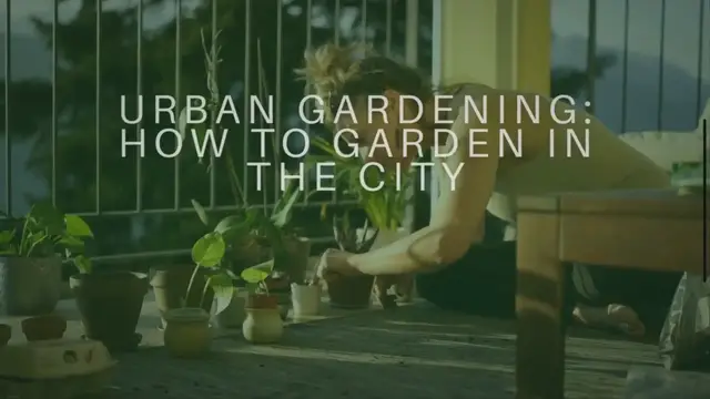 'Video thumbnail for Urban Gardening: How to Garden in the City'
