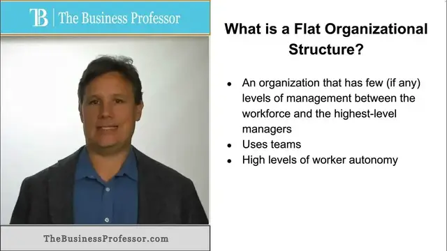 'Video thumbnail for Flat Organizational Structure'