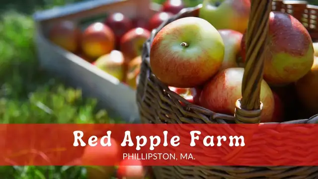 'Video thumbnail for Red Apple Farm, Phillipston MA'