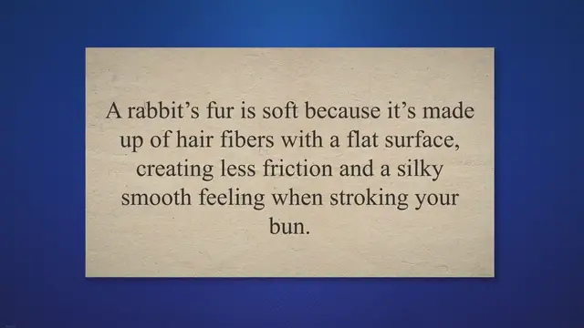 'Video thumbnail for Why Is Rabbit Fur So Soft? Rabbit Guide 2023'