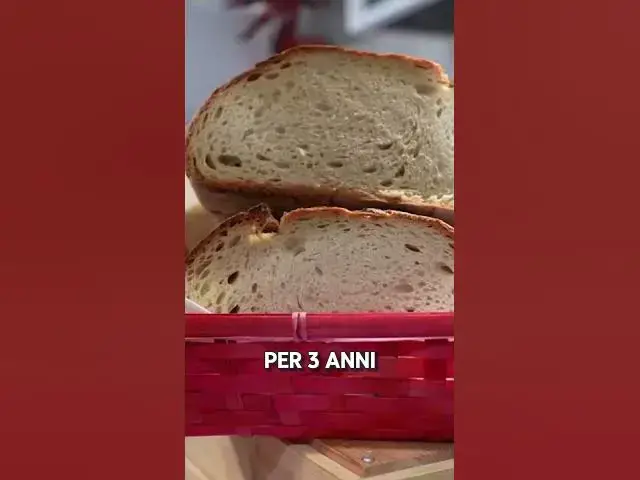 'Video thumbnail for Sotto il Salone: il mercato coperto più antico d’Europa | Scopri le eccellenze di Salone Abruzzo'